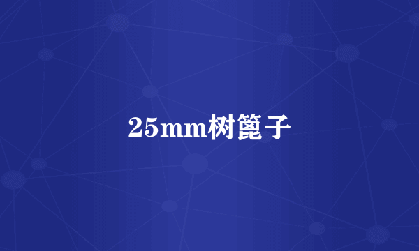 25mm树篦子