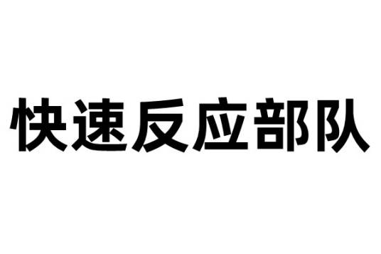 快速反应部队（在极短时间范围内作出干涉的战斗部队）