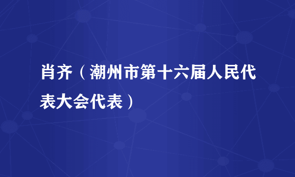 肖齐（潮州市第十六届人民代表大会代表）