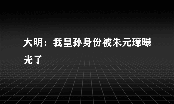 大明：我皇孙身份被朱元璋曝光了