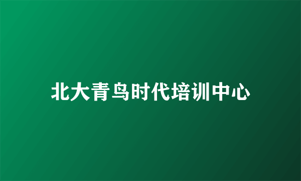 北大青鸟时代培训中心