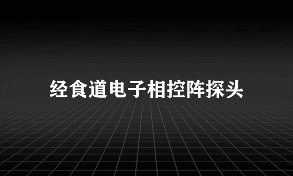 经食道电子相控阵探头