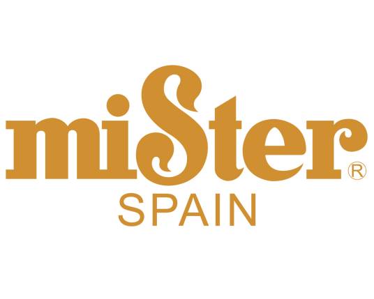mister（西班牙皮具品牌）