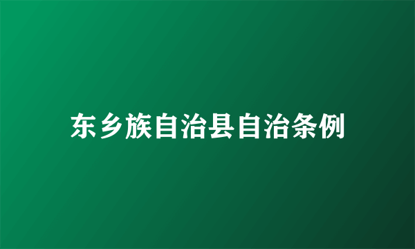 东乡族自治县自治条例