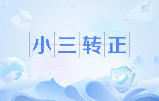 小三转正（网络用语）