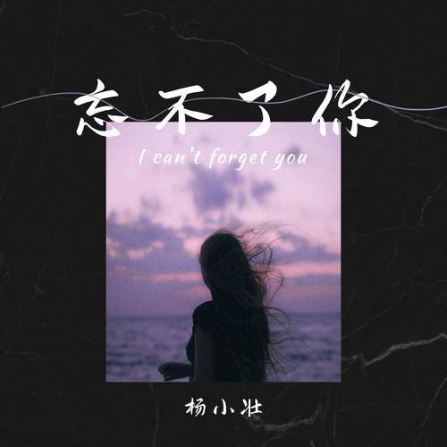 忘不了你（杨小壮演唱歌曲）