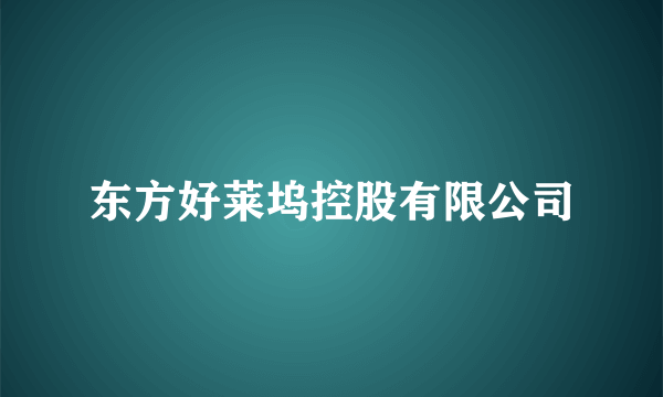 东方好莱坞控股有限公司