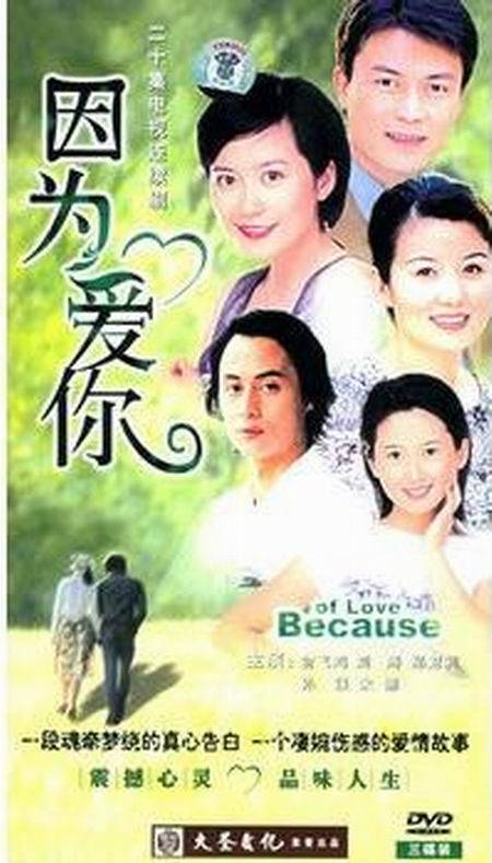 因为爱你（俞飞鸿、郑卫莉主演电视剧）