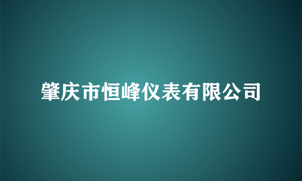 肇庆市恒峰仪表有限公司