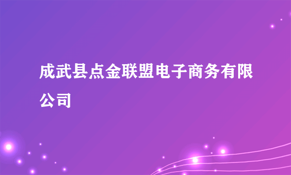 成武县点金联盟电子商务有限公司