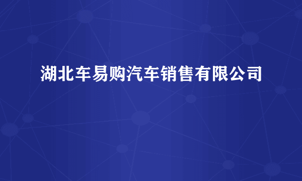 湖北车易购汽车销售有限公司