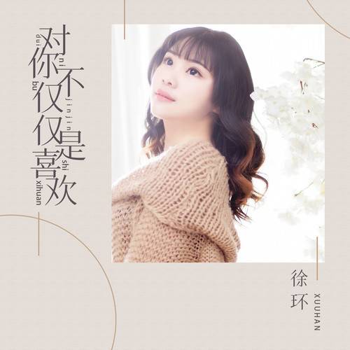 对你不仅仅是喜欢（徐环演唱的歌曲）