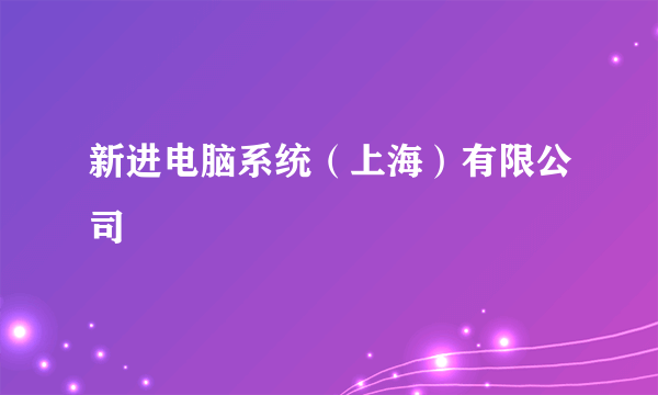 新进电脑系统（上海）有限公司