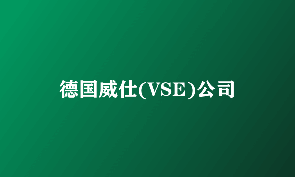 德国威仕(VSE)公司