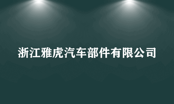 浙江雅虎汽车部件有限公司