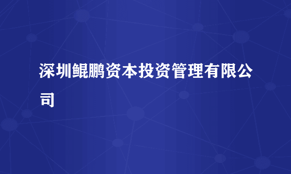 深圳鲲鹏资本投资管理有限公司