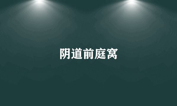 阴道前庭窝
