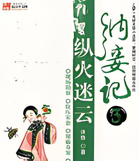 纳妾记（沐轶创作的穿越类网络小说）