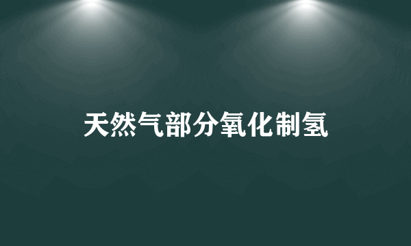 天然气部分氧化制氢