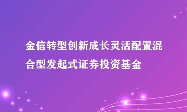金信转型创新成长灵活配置混合型发起式证券投资基金