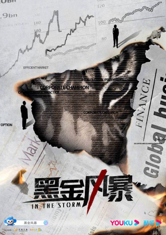 黑金风暴（2022年林峯、周秀娜主演的悬疑剧）