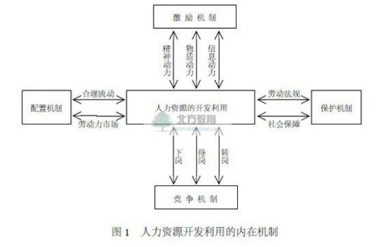 人力资本投资