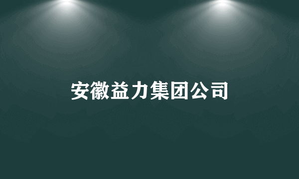 安徽益力集团公司
