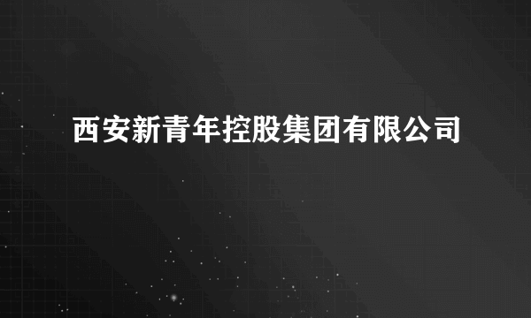 西安新青年控股集团有限公司