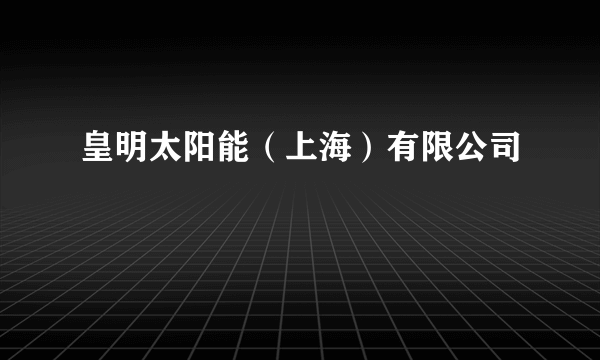 皇明太阳能（上海）有限公司