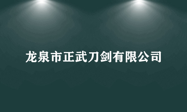 龙泉市正武刀剑有限公司