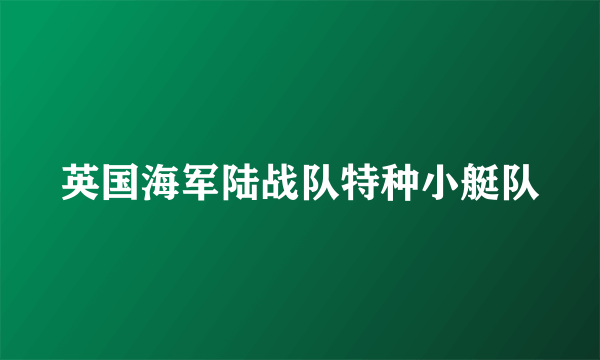 英国海军陆战队特种小艇队