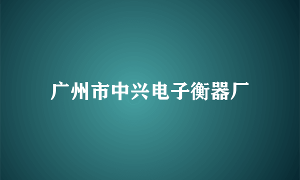 广州市中兴电子衡器厂