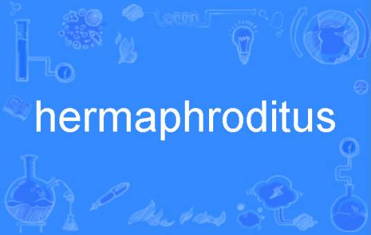 hermaphroditus
