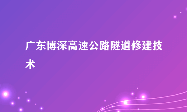 广东博深高速公路隧道修建技术