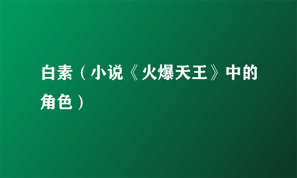 白素（小说《火爆天王》中的角色）