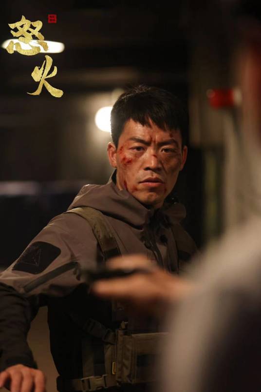 怒火（王清亭、汪雨轩主演的动作电影）