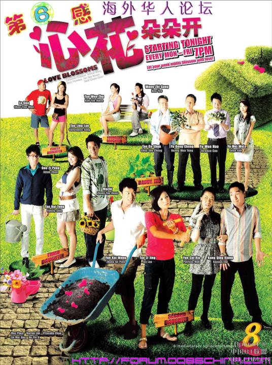 心花朵朵开（2008年黄光荣导演新加坡电视剧）