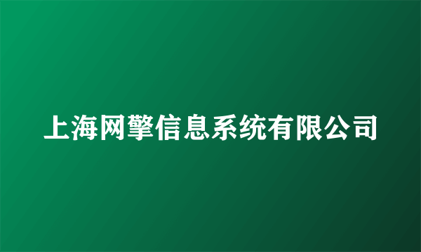 上海网擎信息系统有限公司