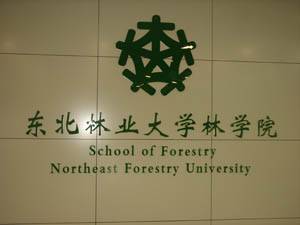 东北林业大学林学院