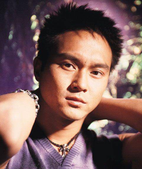 飞龙在天（2009年张智霖演唱的歌曲）