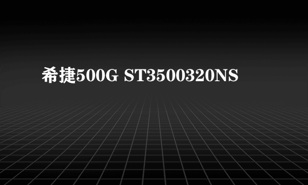 希捷500G ST3500320NS