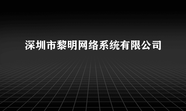深圳市黎明网络系统有限公司