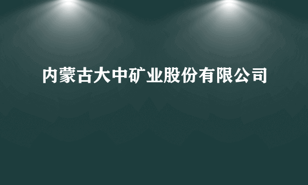 内蒙古大中矿业股份有限公司
