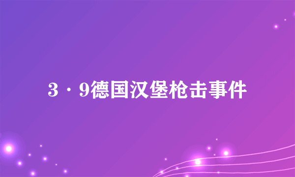 3·9德国汉堡枪击事件