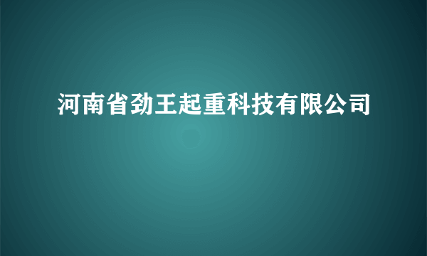 河南省劲王起重科技有限公司