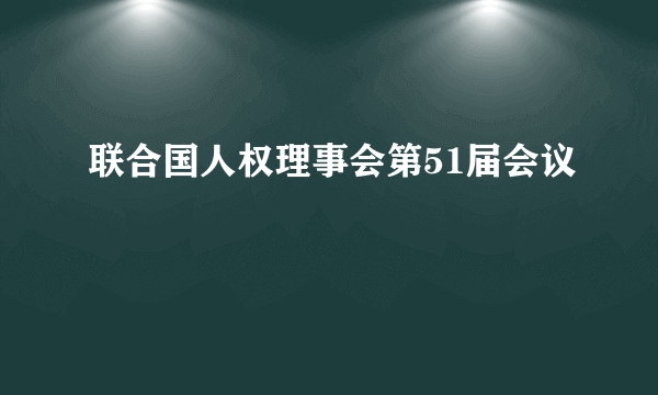 联合国人权理事会第51届会议