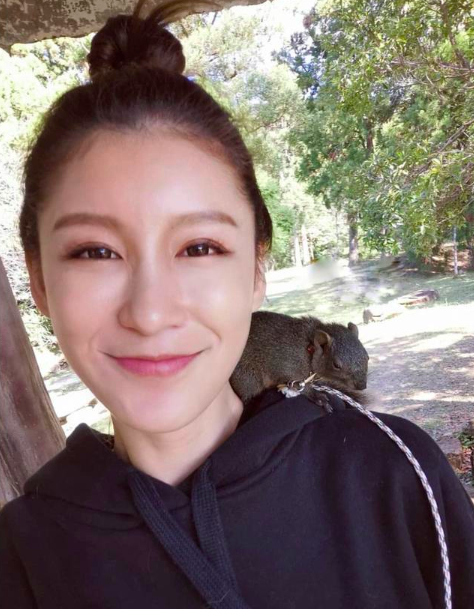 赵孟姿