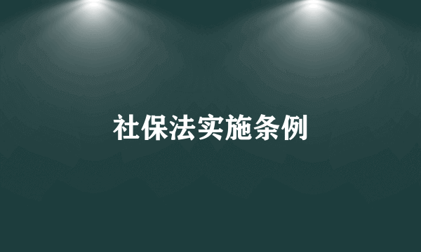 社保法实施条例
