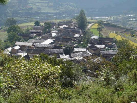 兴济村自然村