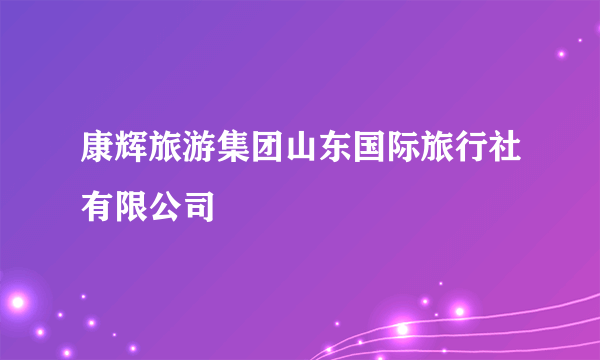 康辉旅游集团山东国际旅行社有限公司